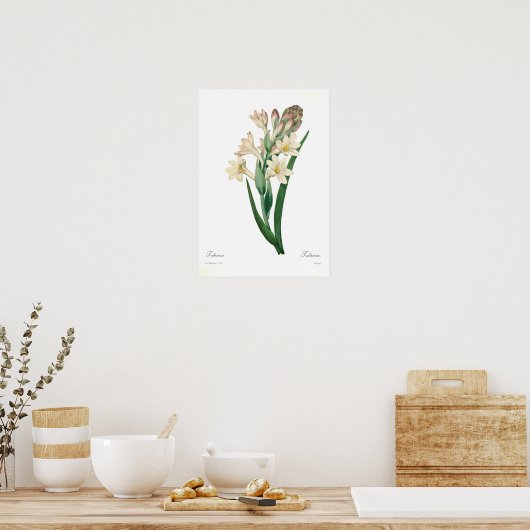 Polianthes tuberosa poster (Keuken)