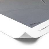 Polikarpov I-16 Type 24 Poster (Hoek)