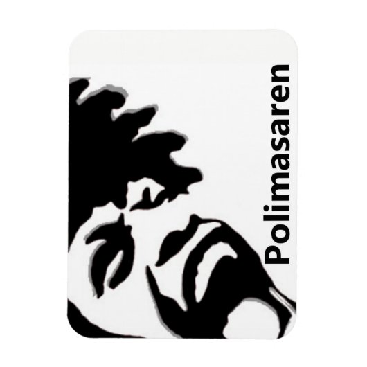 Polimasaren kylskåpsmagnet magneet (Verticaal)