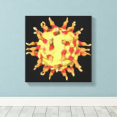 Poliovirus, toont de receptoren canvas afdruk (Insitu (Houten vloer))