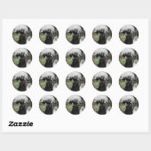 Polish Chicken Foto Ronde Sticker (Vel)