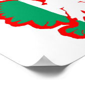POLISH/IRISH FLAG POSTER (Hoek)