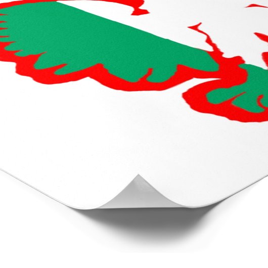 POLISH/IRISH FLAG POSTER (Hoek)