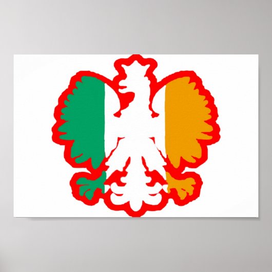 POLISH/IRISH FLAG POSTER (Voorkant)