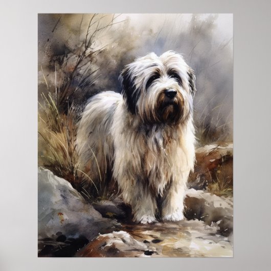 Polish Lowland Sheepdog Hond Art Print Poster (Voorkant)