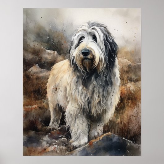 Polish Lowland Sheepdog Hond Art Print Poster (Voorkant)
