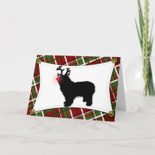 Polish Lowland Sheepdog Reindeer Christmas Kaart
