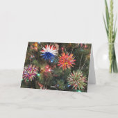 Polish Star Ornament Feestdagen Kaart (Achterkant)