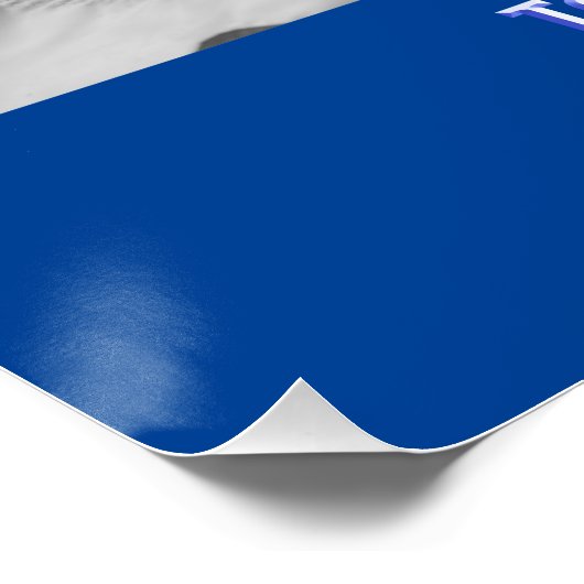 politie perfect poster (Hoek)