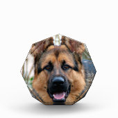 Politiehond Fotoblokken (Voorkant)