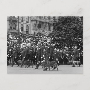 Politiehonden op parade: begin jaren 1900 briefkaart