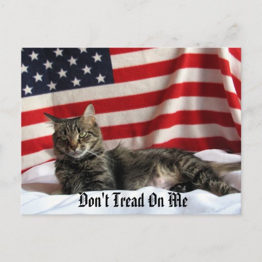 Politiek advies van Nia Briefkaart (Voorkant)