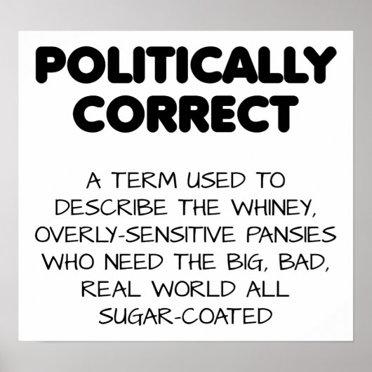 Politiek Correcte Grappige Poster (Voorkant)