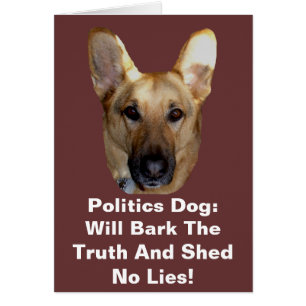 Politiek duitse herderhond zal de waarheid in de w