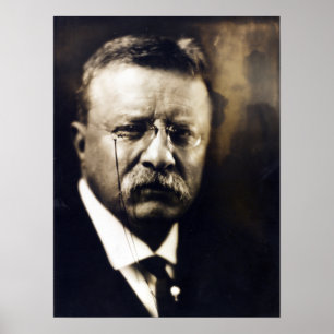  politiek President Theodore Roosevelt Poster