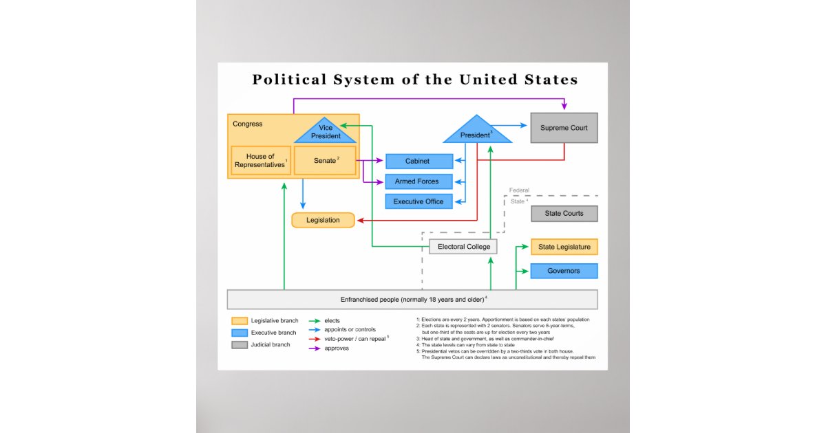 Politiek systeem van de Verenigde Staten Schema Poster | Zazzle.nl