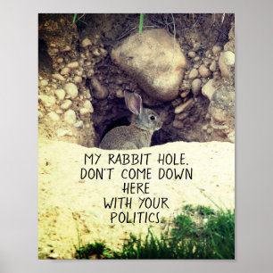 Politieke Humor van de Foto Politiek van de Hole B Poster