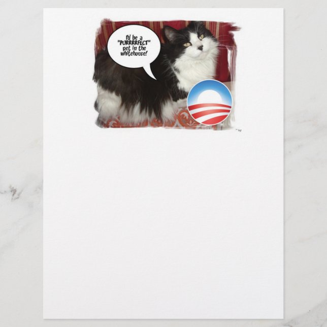 Politieke kat-Humor (Voorkant)