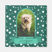 Polka dot boog foto voor huisdieren magneet (Voorkant)