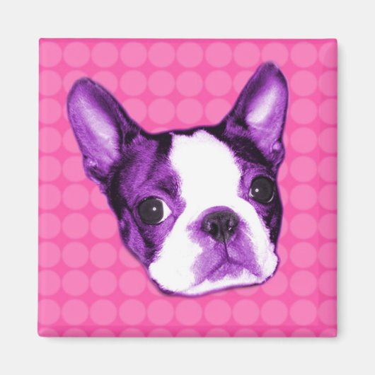 Polka Dot Boston Terrier Puppy Magnet (Voorkant)