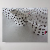 Polka Dot Cupcake Liners Poster (Voorkant)