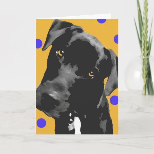 Polka Dot Kaart (Voorkant)