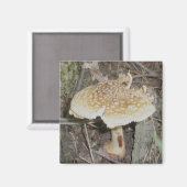 Polka Dot Mushroom Magnet (Voorkant / Achterkant)