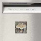 Polka Dot Mushroom Magnet (Insitu (Vaatwasser))