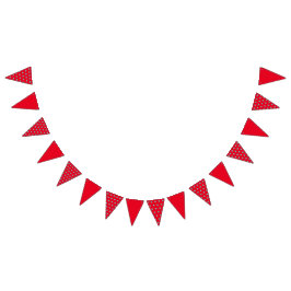 Polka Dot Party Banner (Rood & Aqua)