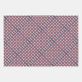 Polka Dot Pattern Gift Wrap Inpakpapier Vel (Voorkant 2)