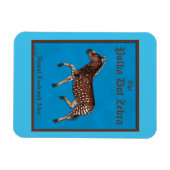 Polka Dot Zebra English Pub Magneet (Horizontaal)