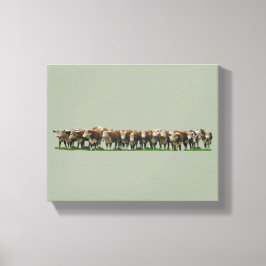 Poll Herefords Canvas Afdruk