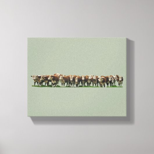 Poll Herefords Canvas Afdruk (Voorkant)