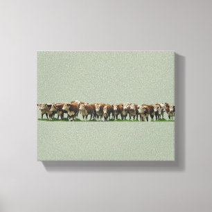 Poll Herefords Canvas Afdruk