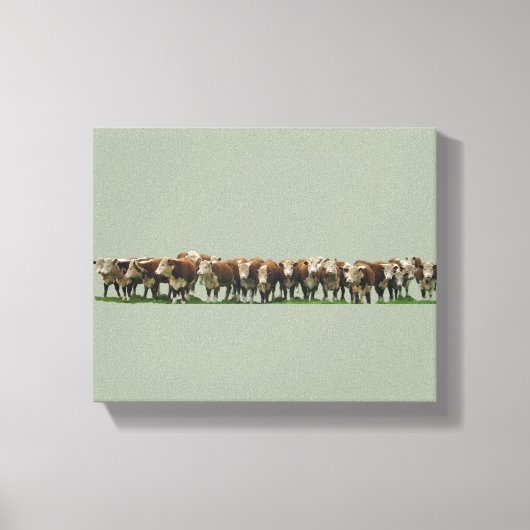 Poll Herefords Canvas Afdruk (Voorkant)