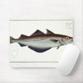 Pollack (Pollachius pollachius) bord LXVIII uit Muismat (Met muis)