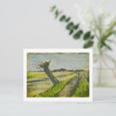 Pollard Willow Van Gogh Fine Art Painting Briefkaart (Staand voorkant)