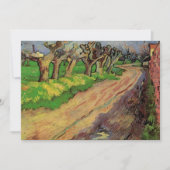 Pollard Willows door Vincent van Gogh Kaart (Voorkant)