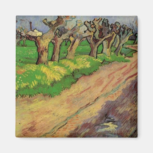 Pollard Willows door Vincent van Gogh Magneet (Voorkant)