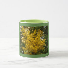 Pollen Bloom Mok