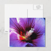 pollen herzien briefkaart (Voorkant / Achterkant)