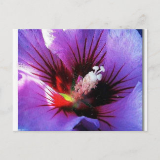 pollen herzien briefkaart