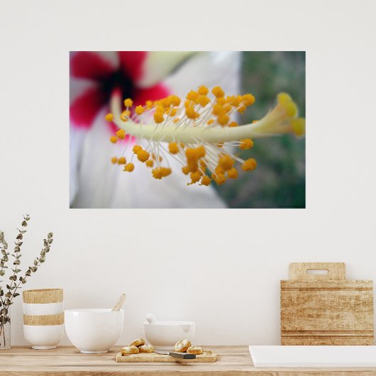 Pollen Poster (Keuken)