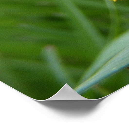 Pollenface Honeybee Poster (Hoek)