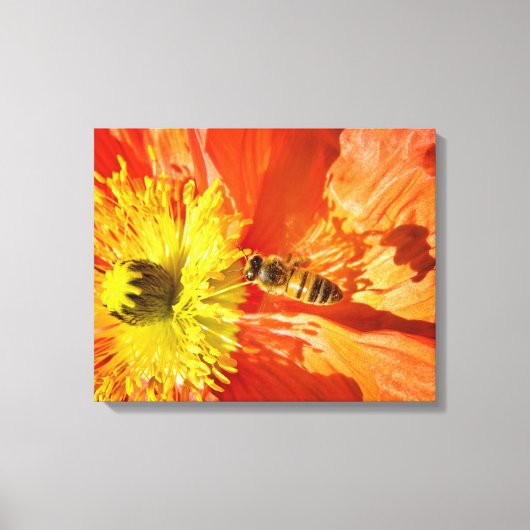 Pollinatie in Oranje en gele canvasomslag Canvas Afdruk (Voorkant)