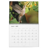 Pollinator Kalender 2026 (Mar 2027)
