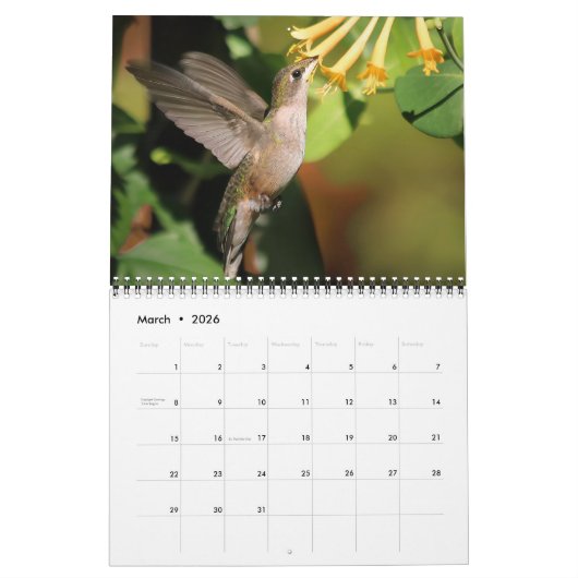 Pollinator Kalender 2026 (Mar 2026)
