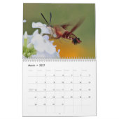 Pollinatoren Kalender (Mar 2027)