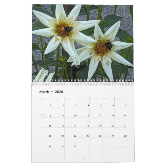 Pollinators Natuur Fotografie Kalender (Mar 2026)