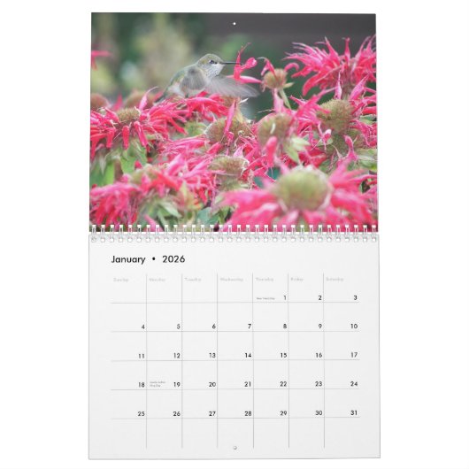 Pollinators Natuur Fotografie Kalender (Jan 2026)